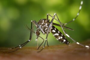 Botucatu registra primeira morte por dengue