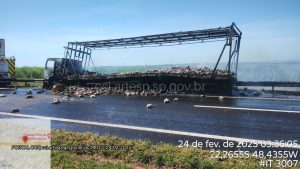 Veículo ficou destruído e a grande maioria das aves não resistiu