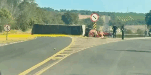 Carreta carregada de laranja tomba e interdita rodovia que liga Avaré e Arandu