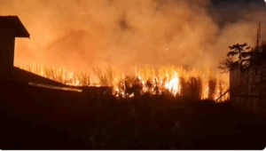 Incêndio atinge área militar e mobiliza Exército, Bombeiros e Defesa Civil no interior de SP