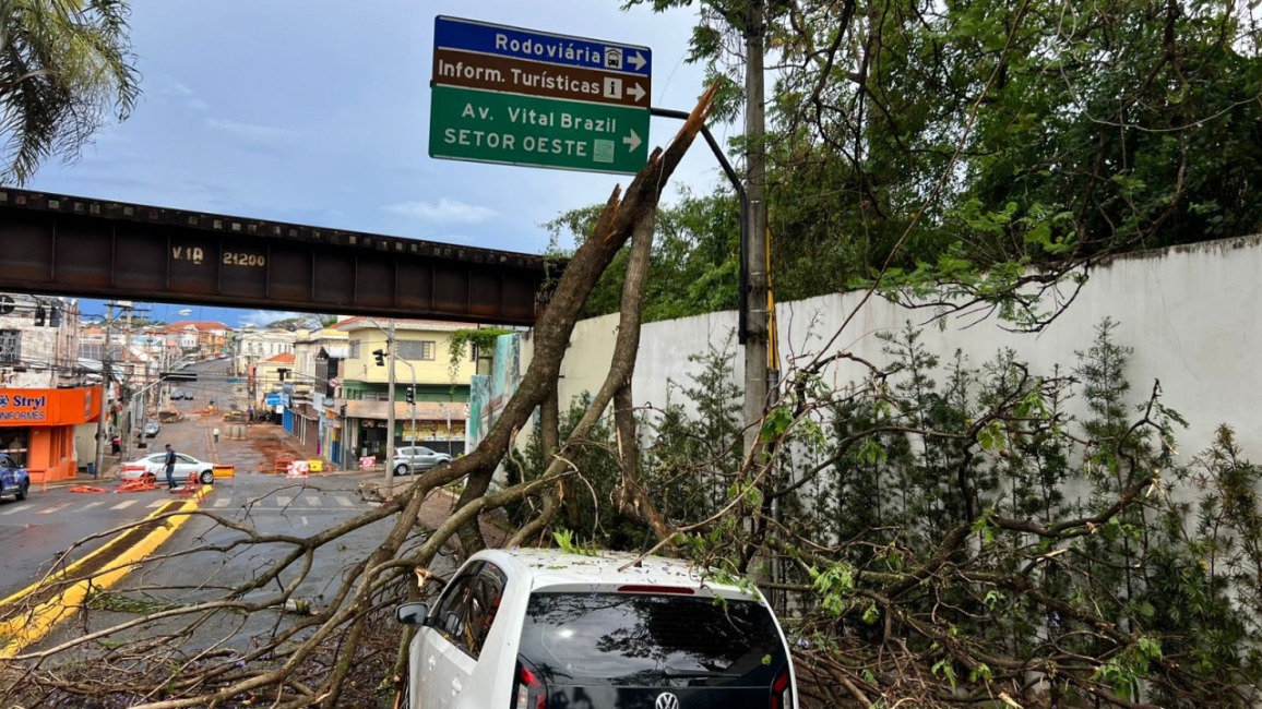 Tempestade de vento atinge Botucatu e mobiliza Gabinete de Crise