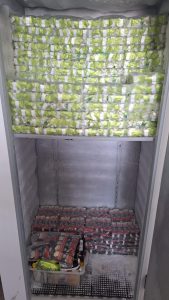 DIG de Botucatu fecha fábrica clandestina de “gelo saborizado” e prende responsável em flagrante