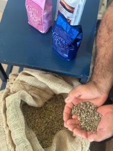 Cooper Cuesta impulsiona agricultura familiar e se torna referência na produção e comercialização de café em São Manuel e região