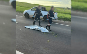 Mulher atropelada em rodovia é declarada morta pelo Samu, deixada na pista e reanimada minutos depois por socorrista, em Bauru