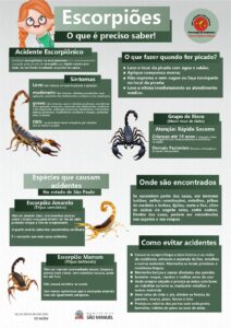 Secretaria de Saúde alerta para riscos de acidentes com escorpiões em São Manuel