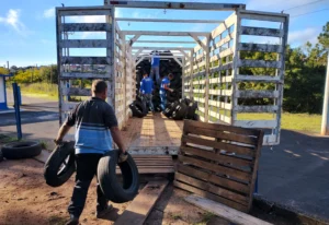 Mais de 8 mil pneus já foram enviados para reciclagem em 2026