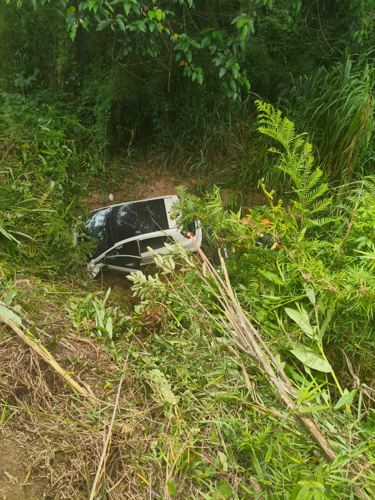 Motorista cai em barranco e é resgatado após passar a noite pedindo socorro na Rodovia João Emílio Roder