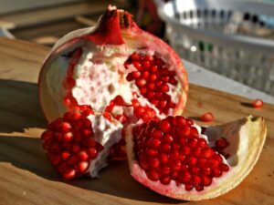 ÁRVORES FRUTÍFERAS PARA PLANTIO EM CALÇADAS: AGORA É A VEZ DA ROMANZEIRA