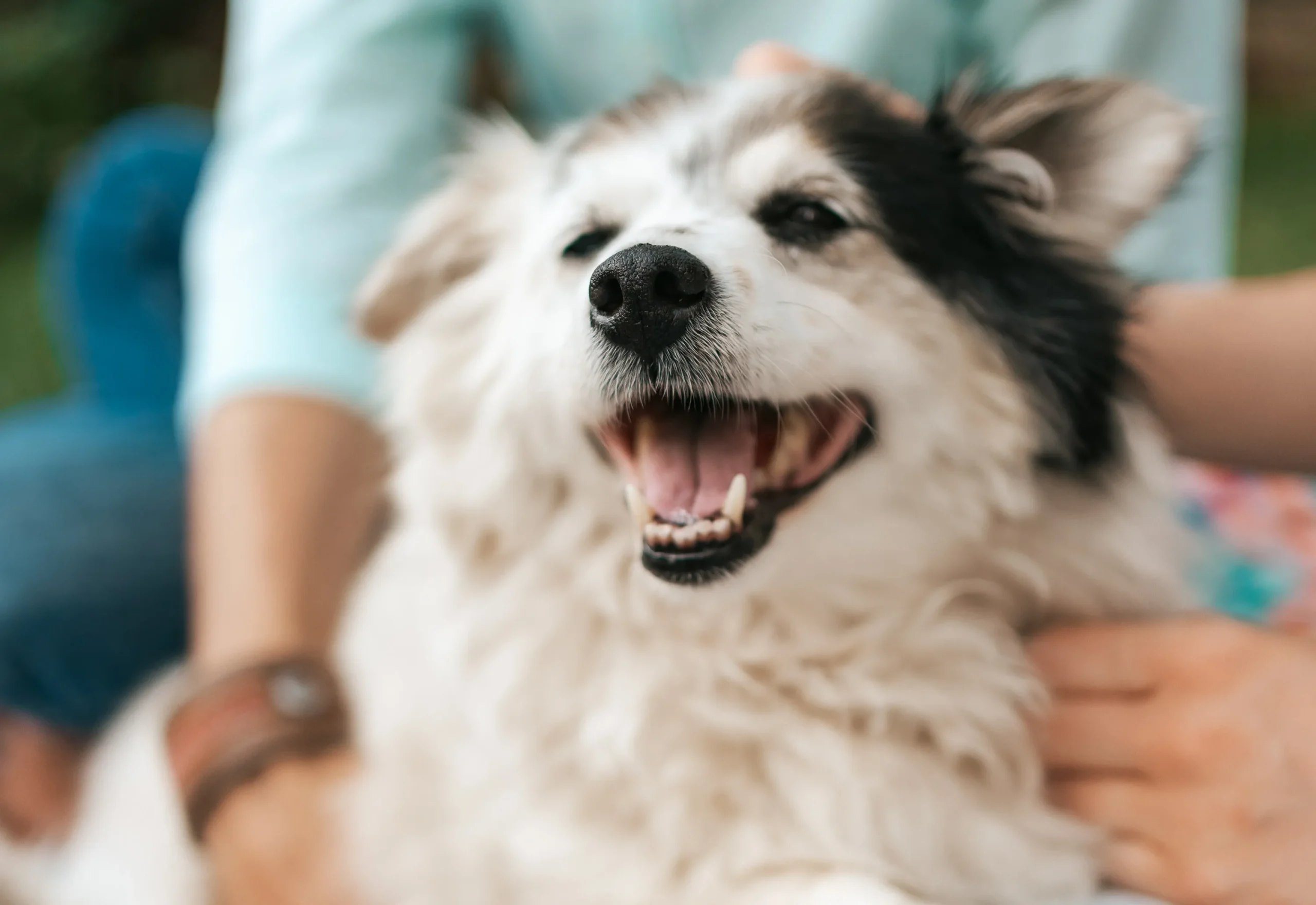 CMCAD abre inscrições para representantes da sociedade civil