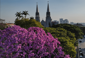 Tiradentes: confira o expediente nas repartições públicas municipais
