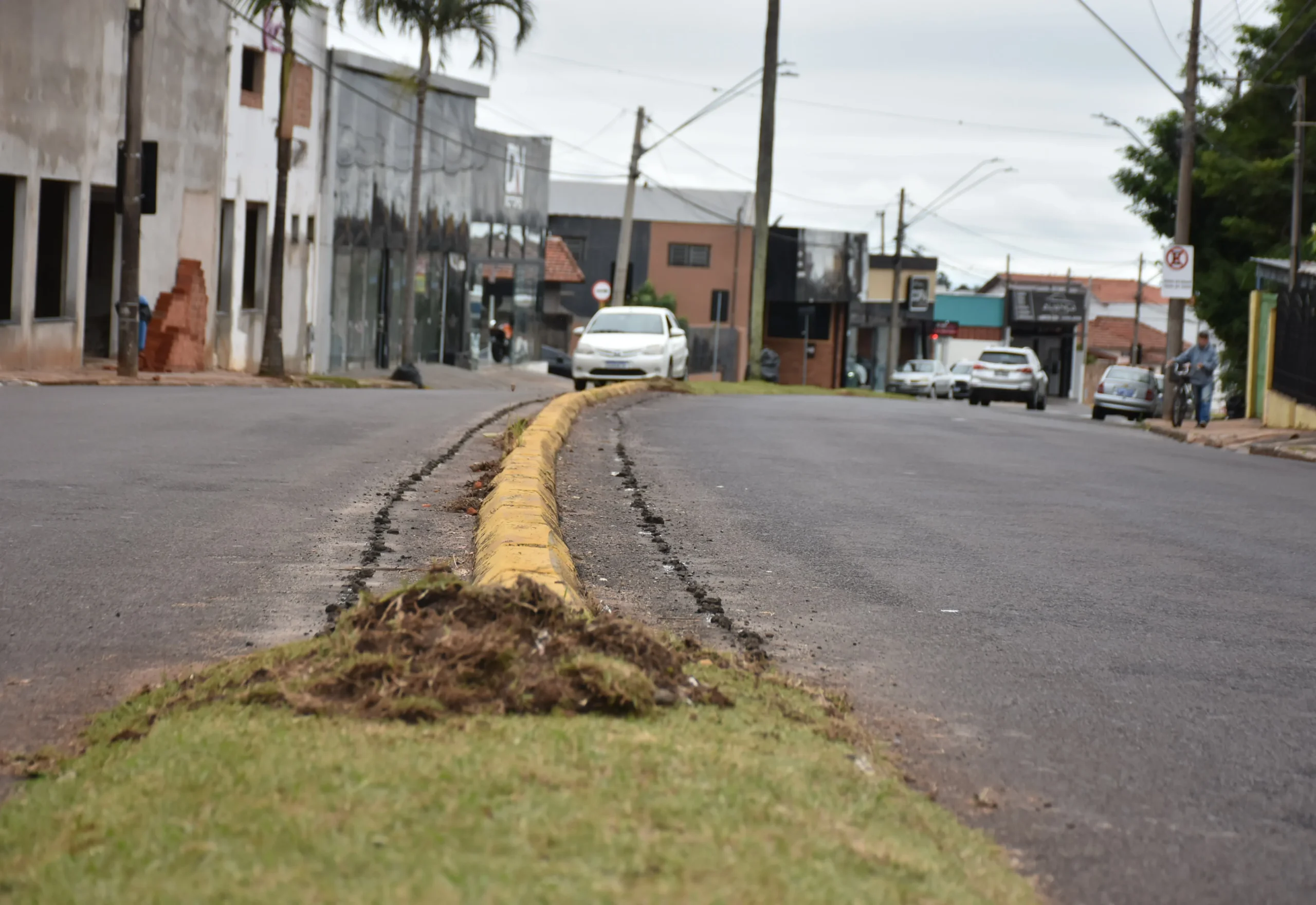Avenida Vital Brasil recebe revitalização dos canteiros centrais
