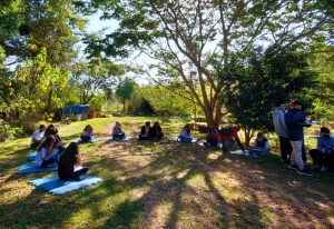 Semana do Meio Ambiente: vencedores do Concurso Vozes de Autoria e do Prêmio EMA de Educação Ambiental 2026