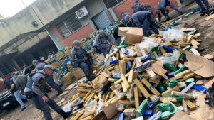Operação conjunta da PM de SP apreende 4,3 toneladas de maconha no oeste paulista