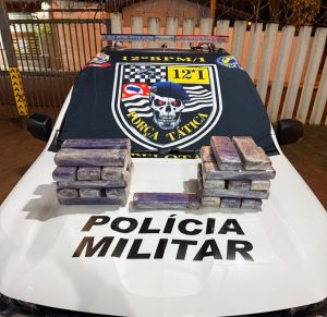 Força Tática apreende aproximadamente 25 quilos de maconha durante ação na rodovia Castello Branco