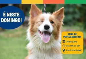 Canil de Portas Abertas: feirinha de adoção será realizada no próximo domingo, 26