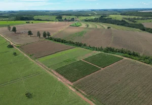 Secretaria de Agricultura moderniza atendimento e disponibiliza solicitação online da Patrulha Agrícola