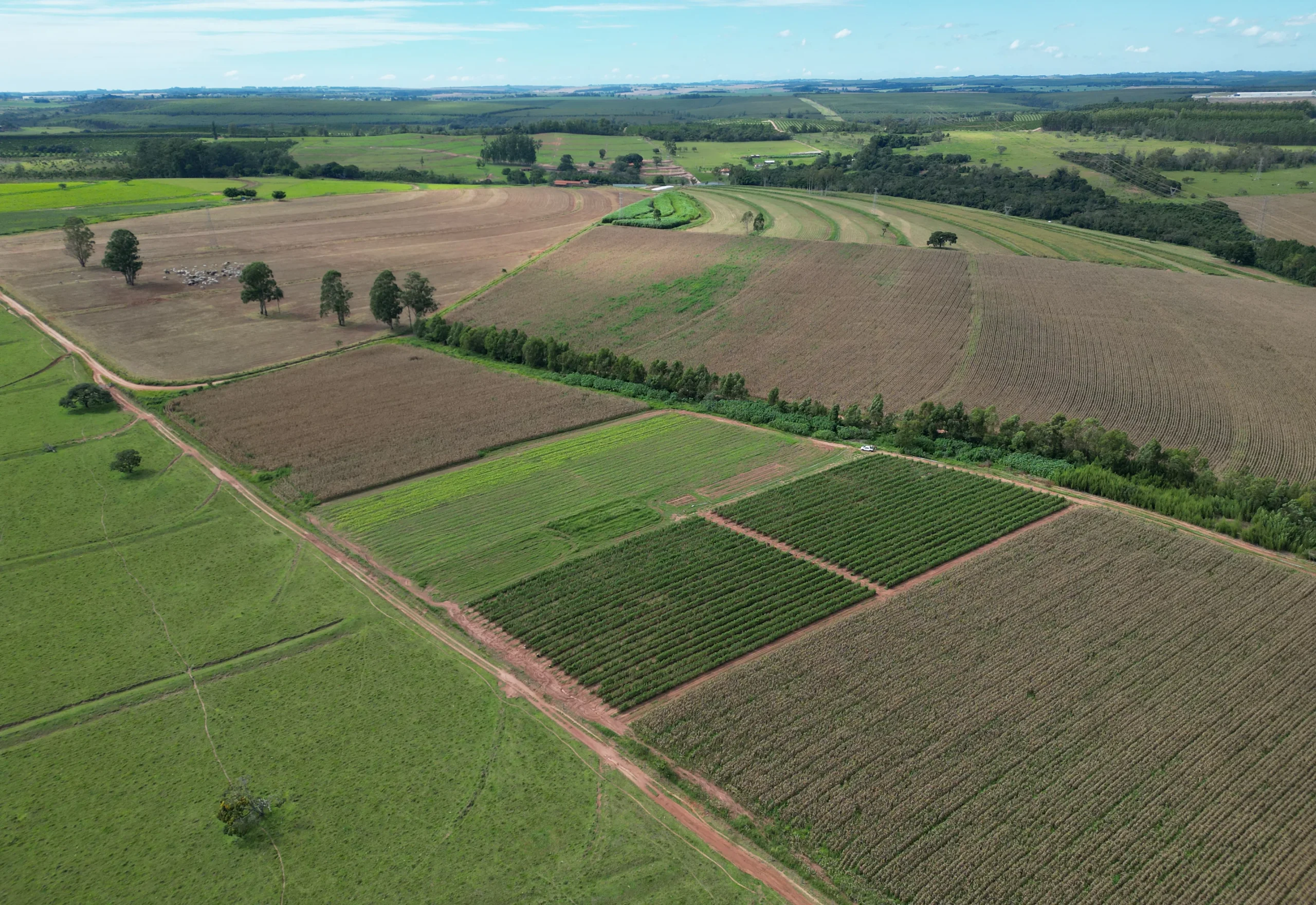 Secretaria de Agricultura moderniza atendimento e disponibiliza solicitação online da Patrulha Agrícola