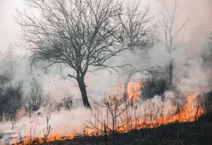 Defesa Civil reforça orientações para prevenir incêndios durante o período de estiagem