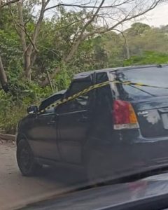 Homem morre após árvore cair sobre carro durante ventos fortes em Cesário Lange