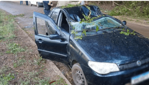 Motorista morre após árvore cair sobre carro durante ventania em Cesário Lange