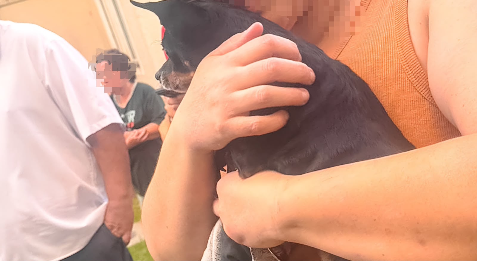 Cachorro é encontrado escondido sob sofá durante incêndio em apartamento de Botucatu