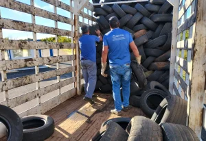 Descarte Consciente: Prefeitura disponibiliza pontos de coleta para o descarte ambientalmente correto de pneus, garantindo destinação adequada e preservação ambiental