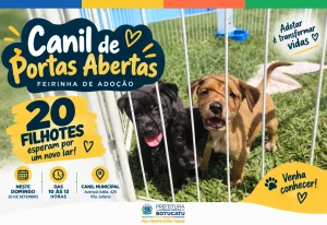 Canil de Portas Abertas: 20 filhotes esperam por uma família neste domingo!