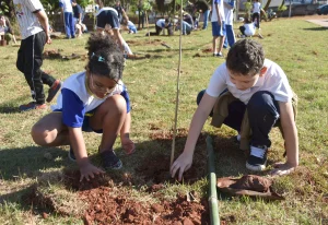 Dia da Árvore: Botucatu amplia arborização com novos plantios, pomares urbanos e participação da população