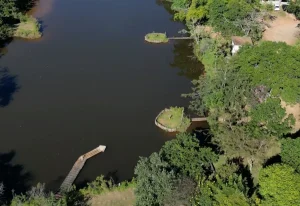 Biólogos ajudam a aproximar milhares de crianças da natureza na Escola do Meio Ambiente de Botucatu