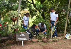 Muito além das visitas escolares: conheça as experiências oferecidas pela Escola do Meio Ambiente de Botucatu