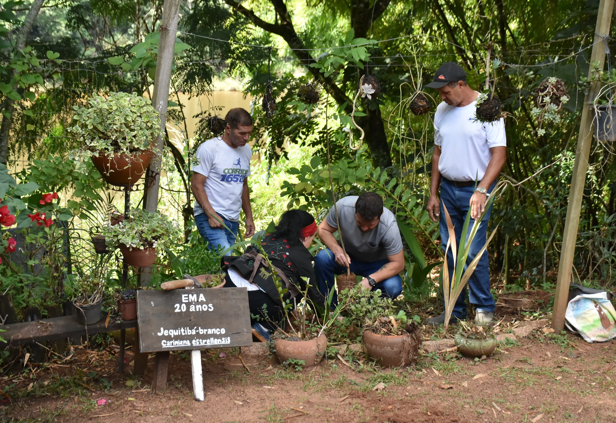 Muito além das visitas escolares: conheça as experiências oferecidas pela Escola do Meio Ambiente de Botucatu