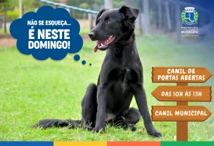 Canil de Portas Abertas acontece neste domingo, 20 de setembro