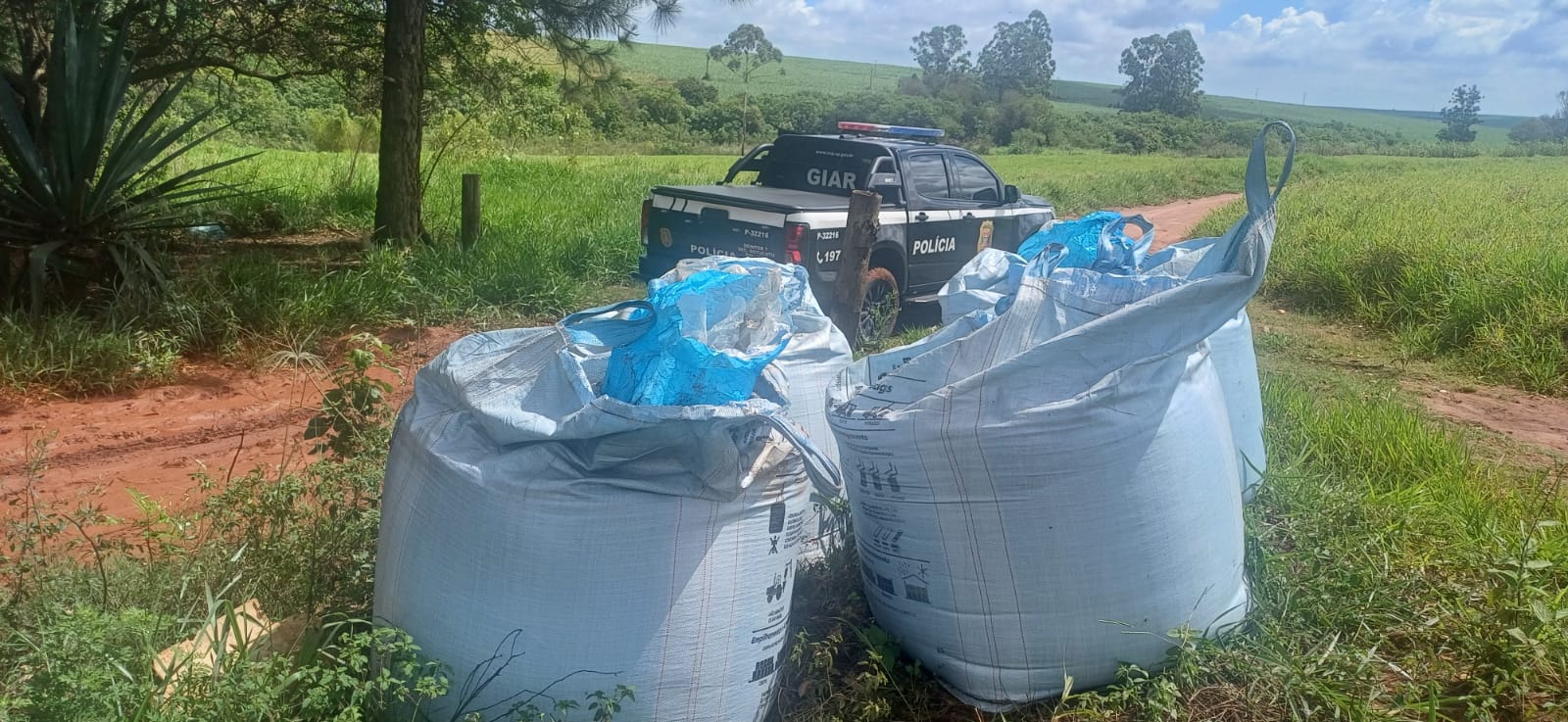 Polícia Civil apreende cerca de 4 toneladas de fertilizantes anunciadas em grupo de WhatsApp em Areiópolis