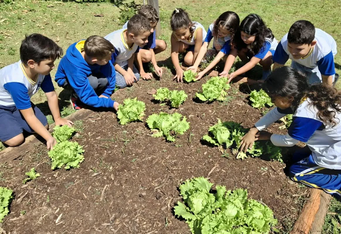 Horta nas Escolas: projeto de Botucatu promove educação ambiental e alimentação saudável desde a infância