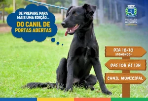 Canil de Portas Abertas acontece na próxima semana em Botucatu