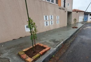 Botucatu Cidade Viva chega ao Centro com nova etapa de arborização urbana