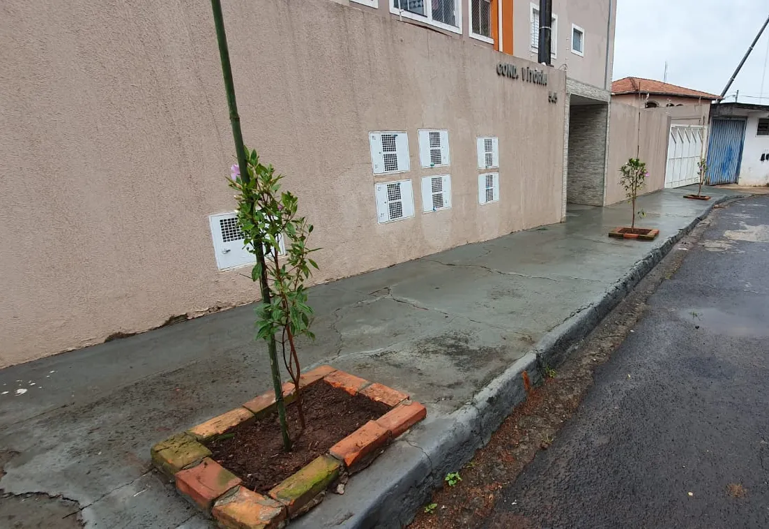 Botucatu Cidade Viva chega ao Centro com nova etapa de arborização urbana