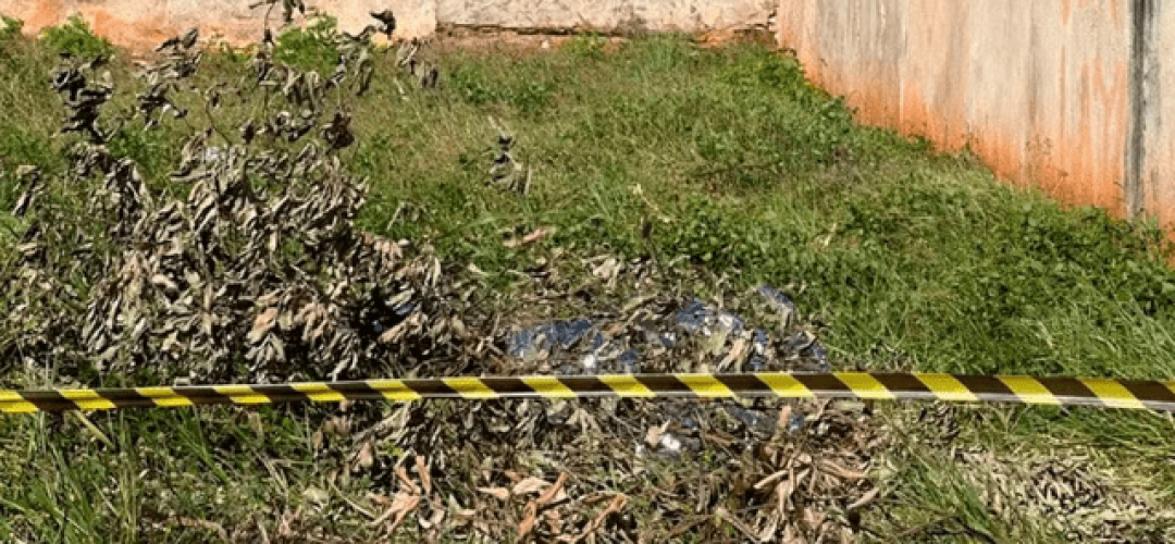 Captura de tela 2024-06-24 101318