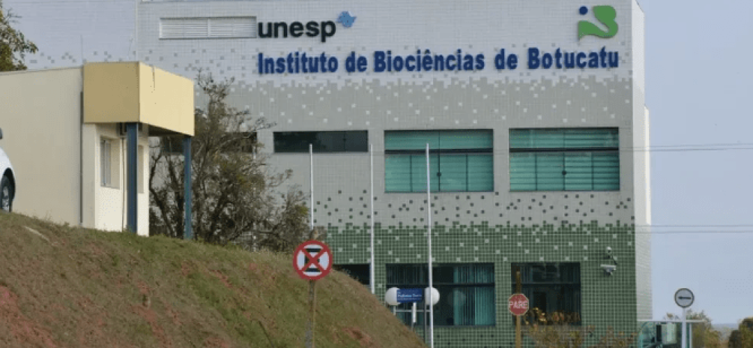 Instituto de Biociências da Unesp de Botucatu (Foto: Divulgação)