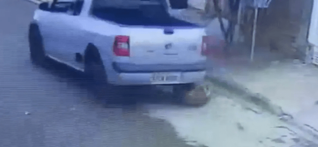 cachorro-atropelado-marilia-121022