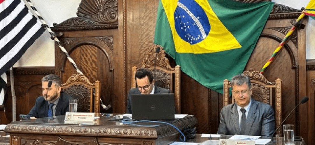 Foto: Câmara Municipal de Bauru/Reprodução
