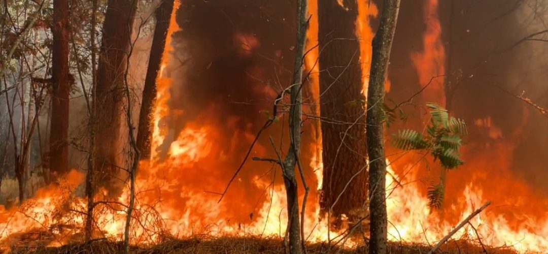 incendio-3.jfif