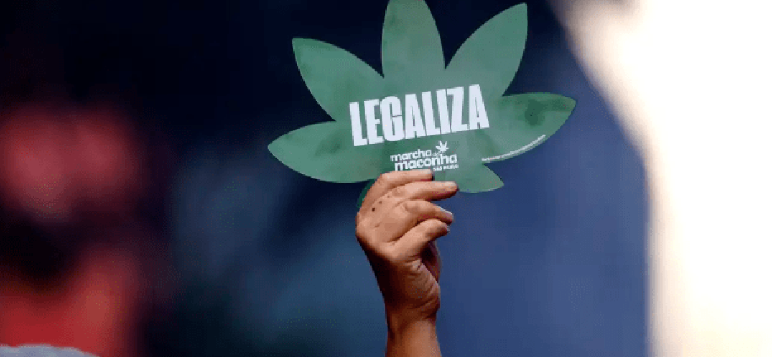 maconha