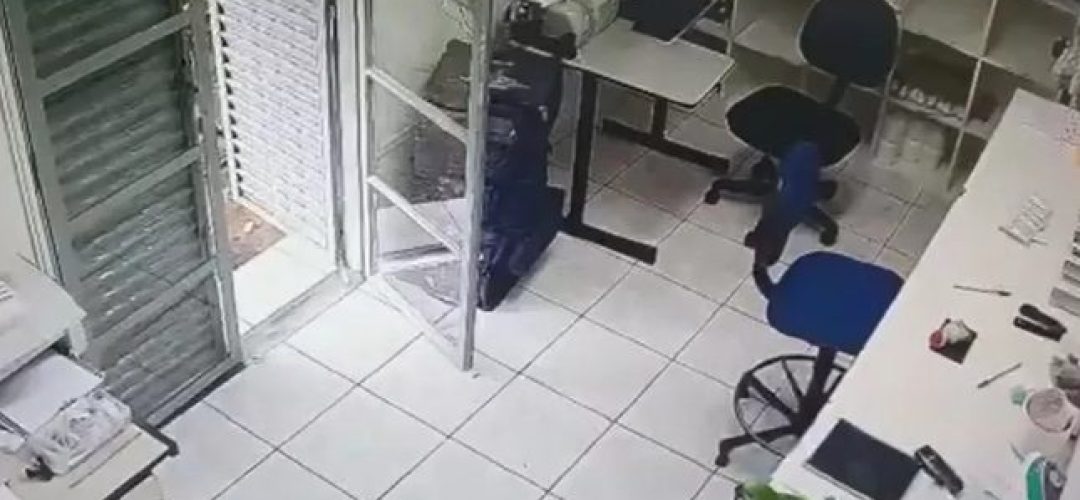papagaio-farmacia-marilia-040422
